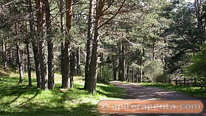 foto de camino en la Sierra de Madrid HD